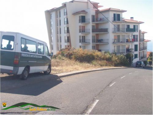 Limpeza da Rua da Olaria na Freguesia do Caniço