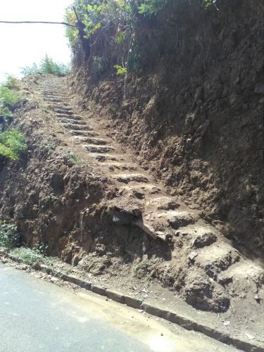 Limpeza das Veredas do Curral Velho