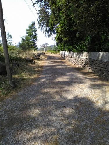 Limpezas do Caminho da Fontinha e Veredas circundantes